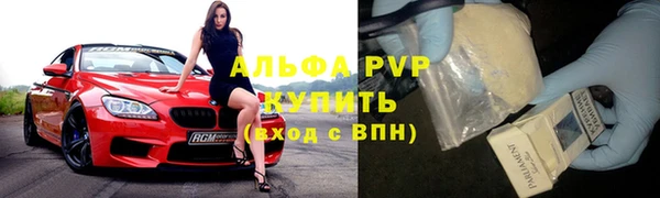экстази Бородино