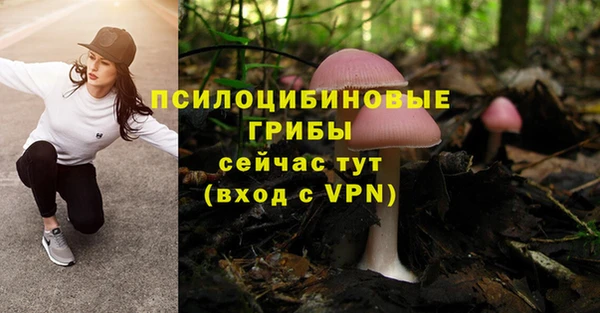 крисы Богданович