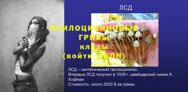 крисы Богданович