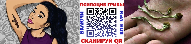 как найти   Юрга  Галлюциногенные грибы мицелий 